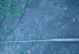 O femeie a ajuns la spital în stare gravă după ce a fost bătută cu un bici