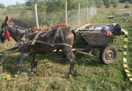 O familie din Suharău a ajuns la spital din cauza unui șofer neatent