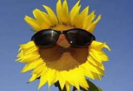 Caniculă şi disconfort termic până duminică în întreaga ţară