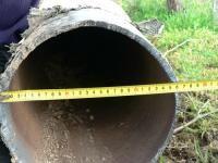 Surprinşi în flagrant în timp ce furau materiale feroase