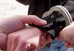 Hoţ de scutere arestat de poliţişti