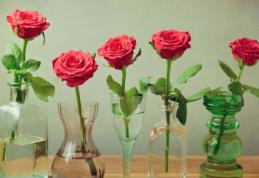 Cum se păstrează cel mai bine florile în vază: Vodcă, Sprite sau clor?
