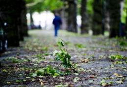 O masă de aer polar se îndreaptă spre România. Vezi prognoza pe trei zile