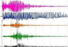 Patru cutremure in 24 de ore in zona Romaniei 