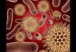 Amenințări fără precedent: Sănătatea omenirii în pericol. Ce ne atacă