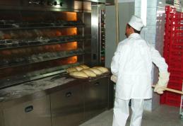 Un dorohoian și un botoșănean s-au ales cu dosare penale pentru evaziune fiscală în domeniul panificației