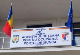 200 locuri de munca oferite de angajatorii sudezi in domeniul forestier