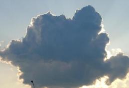 Romanii ar fugi din tara cat mai repede cu putinta