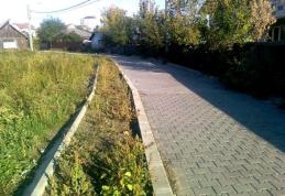 Primim la redacţie: Buruieni în loc de pavele pe „Valea Ţiganului” din Dorohoi !