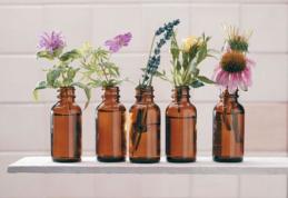 Tincturi care echilibrează energetic organismul. În ce boli pot fi folosite