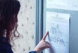 50 de locuri de munca pentru stagiari în Danemarca