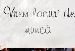 Un parlamentar român a înfiinţat Sindicatul Românilor fără Locuri de Muncă