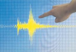 Cutremur puternic în Vrancea. Seismul a fost resimţit şi în București