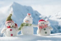 Directorul ANM: Iarna vine după 20 noiembrie. Ne aşteaptă -20 de grade Celsius