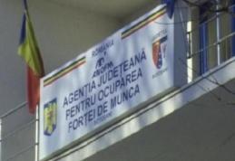 AJOFM Botoșani: Locuri noi de muncă la DGASPC și Oficiul de Poștă