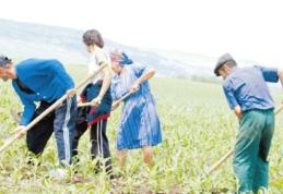 Ajutoare pentru agricultori deblocate sau acordate în premieră de Guvern