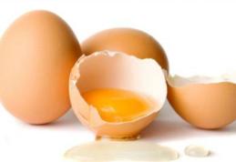 Câteva lucruri interesante pe care nu le știai despre ouă