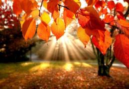 Prognoza meteo pentru următoarele zile. Temperaturi de vară la sfârşit de octombrie