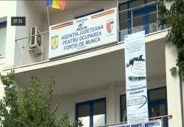 AJOFM: Locuri noi de muncă în unitățile de învățământ din județ