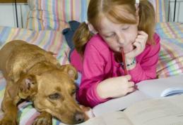 Temele pentru acasă – rolul lor în educația micului școlar