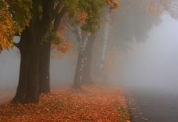 Gata cu vremea frumoasă! Ploi şi temperaturi scăzute. Prognoza pentru 5 – 17 noiembrie