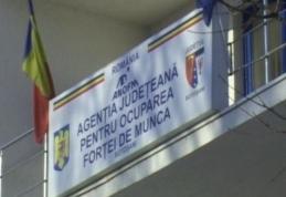 Sute de locuri de muncă subvenționate din bugetul asigurărilor pentru șomaj și stimularea ocupării forței de muncă