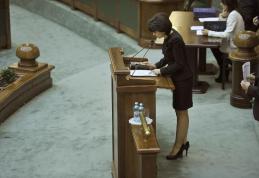 Ministerul Dezvoltării susține propunerea senatorului Doina Federovici privind construirea bazelor sportive