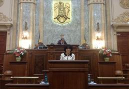 Ministrul de interne luat la întrebări de senatorul Doina Federovici, privind revendicările polițiștilor