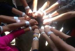 Elevii din județul Botoșani nu intră miercuri în grevă japoneză