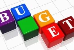 Bugetul de stat pe 2014 a fost aprobat de Guvern. Cine va primi mai mulţi bani la anul