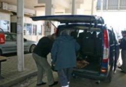 Cozi în Vama Siret, în prima zi cu restricţii stricte la importul de alimente, fructe şi seminţe