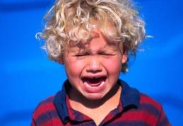 Senatul a respins propunerea privind indexarea alocației de stat pentru copii