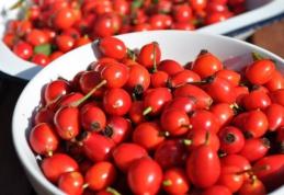 Cura cu măceşe, un remediu universal care tratează mai multe afecţiuni
