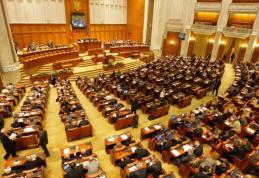 Parlamentarii joacă ping-pong cu pensiile românilor. Proiectul referitor la pensiile de gradul 1 de muncă, retras de pe ordinea de zi