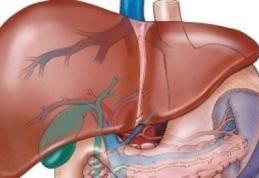 Câteva soluții despre cum îți regenerezi ficatul