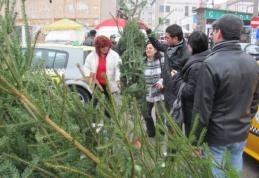 Ce amenzi riscă românii care îşi cumpără din piaţă brazi de Crăciun vânduţi fără acte