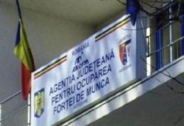 AJOFM Botoşani: Locuri noi de muncă pentru persoanele cu studii superioare