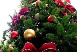 Cum poți să ţii bradul de Crăciun verde săptămâni în şir