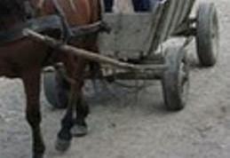  Minoră de 8 ani, nesupravegheată la săniuş, victima unui accident