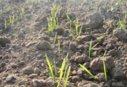 Iarna neobişnuit de caldă are consecinţe dramatice. Semnele rele au apărut deja