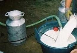 Din ianuarie, laptele stă sub lupa UE