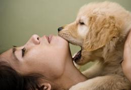 Cât de periculos este un pupic de la căţelul tău pentru sănătatea ta