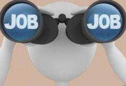 AJOFM Botoșani: 111 locuri de muncă disponibile în această săptămână