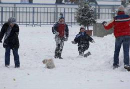 Cod galben de ninsori, polei şi vânt în Botoșani și alte nouă judeţe din est