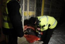 Persoane fără adăpost, depistate de poliţişti şi conduse în Centrul de urgenţă 