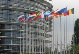 PSD validează astăzi lista candidaţilor la PE