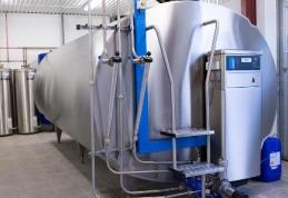 Primăria Dorohoi: Vezi cum pot obține crescătorii de bovine tancuri de răcire a laptelui