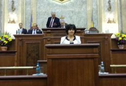 Senator Doina Federovici: Interpelare adresată Ministrului Muncii privind măsurile de protecție socială în perioada sezonului rece 