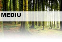 Ocolul Silvic Dorohoi: Anunț revizuire autorizație de mediu OS Dorohoi