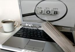 AJOFM Botoșani: 127 locuri de muncă disponibile în această săptămână